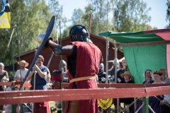 Medieval Fighter