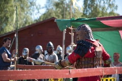 Medieval Fighter