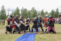 Medieval Fighters